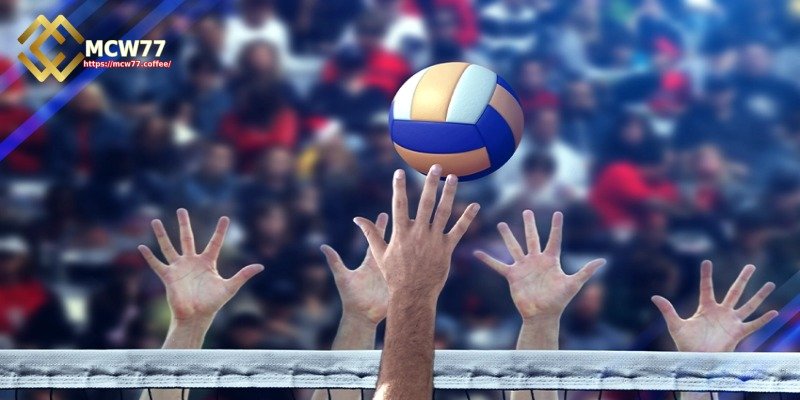 Analyze Each Match Before Betting