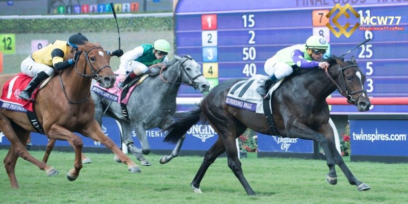 Common Types of Bets in Horse Racing