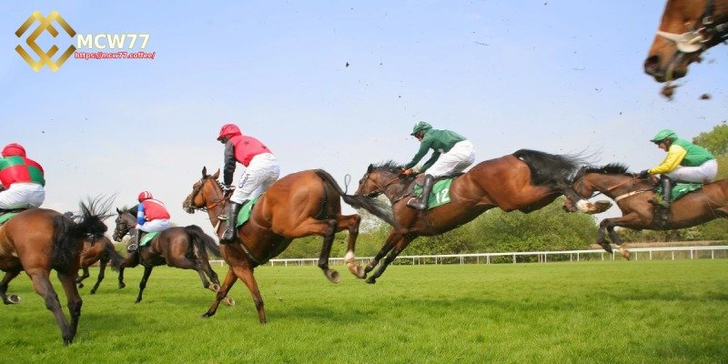 Develop a Smart Betting Strategy