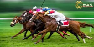 Horse Racing Betting – A Popular Sport You Should Know About