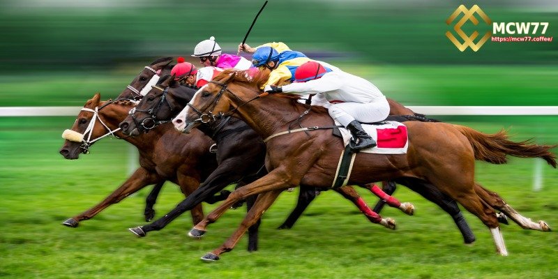 Horse Racing Betting – A Popular Sport You Should Know About