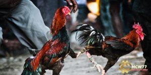 Origins and Evolution of This Popular Phenomenon