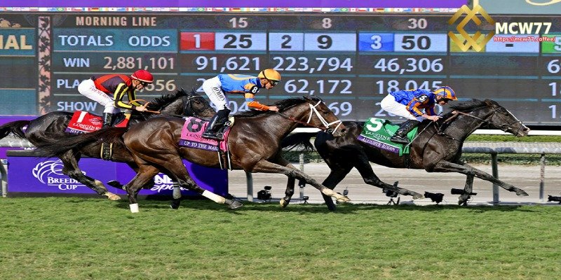 Step 1: Access a Horse Racing Betting Platform