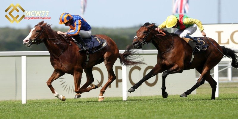 Step 3: Select the Horse Racing Category